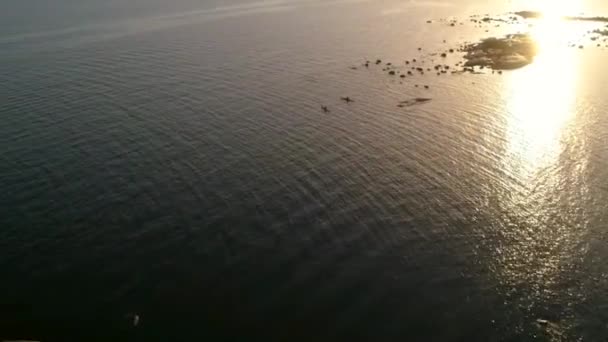 Aerial Drone View People Kayaking Finnish Archipelago Calm Tranquil Sea — Wideo stockowe