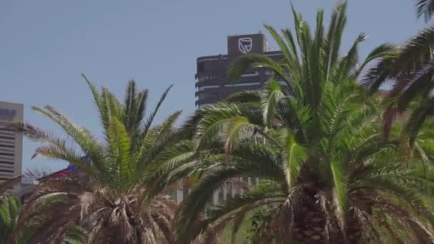 Cape Town City Shot Palms Passing Dengan Skyline Belakang Gerak — Stok Video