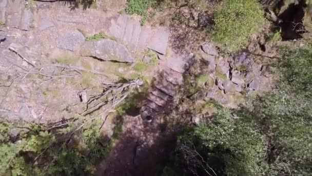 Joven Está Caminando Bosque Negro Por Senderos Rocas — Vídeo de stock
