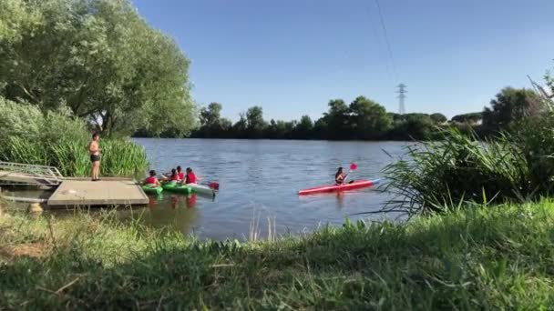 Gara Nuoto Sul Fiume — Video Stock