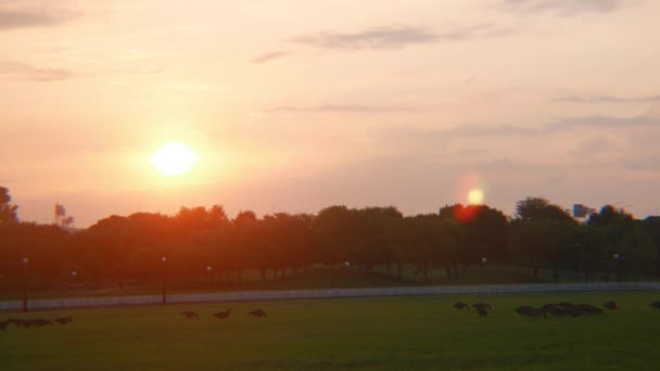 Salida Del Sol Sobre Parque Watergate Louisville Kentucky — Vídeos de Stock
