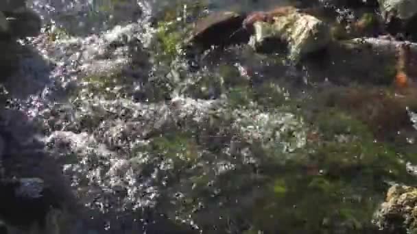 View Flowing Water Stream — Stock Video