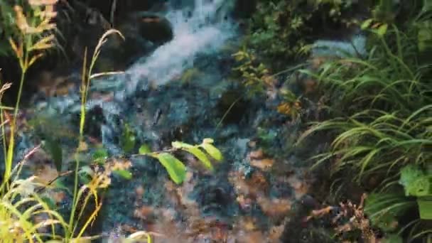Pequena Cachoeira Áustria — Vídeo de Stock