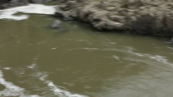 Różne Klipy Popołudnia Pięknym Palouse Falls Stanie Wasington — Wideo stockowe