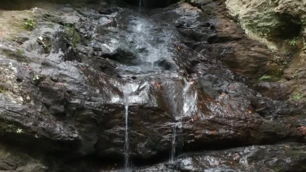 Terbang Atas Air Terjun — Stok Video