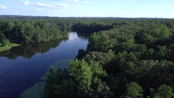 Virginia Lake Drone Felvétel — Stock videók