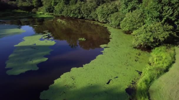 Nagranie Drone Lake Virginia — Wideo stockowe