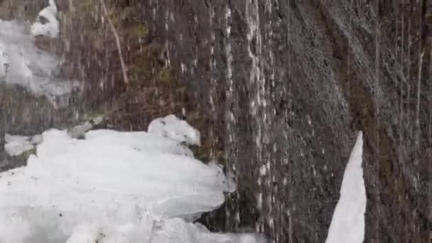茶色の石壁の近くに雪を溶かすことによって形成された滝の雪と氷の上に滴り落ちる水 — ストック動画
