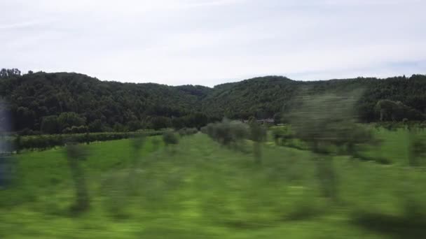 Vezetés Mellett Szőlőültetvény Olaszországban Szőlővel Olívabogyóval Gyors Ütemű Vezetés — Stock videók