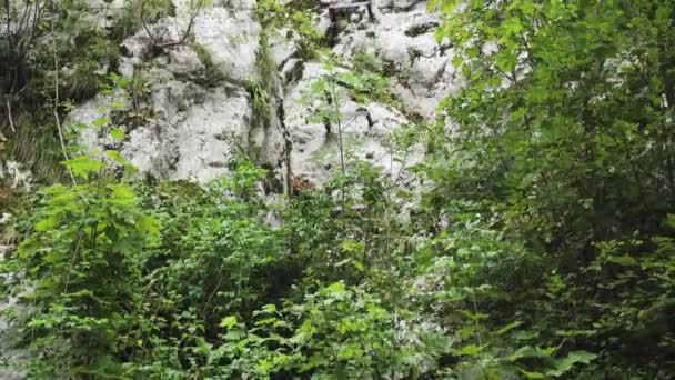 Roestige Ijzeren Ladder Trap Rotswand Die Leidt Naar Een Steile — Stockvideo