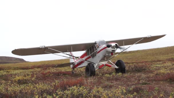 Alta Velocità Rallentamento Colpi Aerei Cespuglio — Video Stock