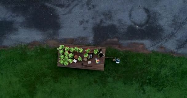 Aerial View Looking Straight Flatbed Loaded Corn Farmhands Remove All — Stock Video