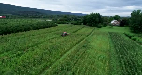 Вид Воздуха Трактор Через Кукурузное Поле — стоковое видео