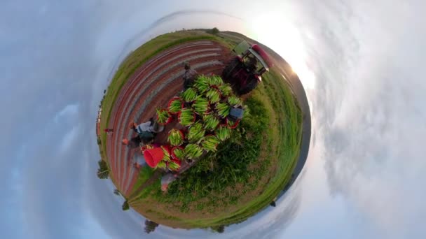 Édité Équirectangulaire 360 Minuscule Planète Clip Tracteur Tirant Une Plate — Video