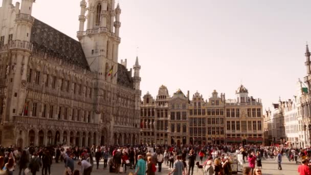 Grand Palace Brussels Belgium Packed Tourists Walking Main Square City — ストック動画