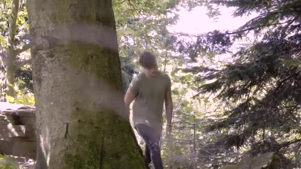 Genç Bir Adam Kara Orman Yürüyüş Yapıyor Patikalarda Kayalıklarda — Stok video