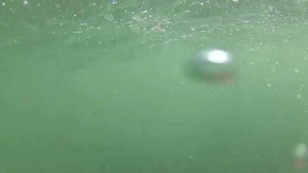 Alguém Está Debaixo Água Depois Vai Para Superfície Pov Ponto — Vídeo de Stock