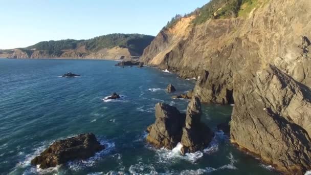 Imagens Drones Bela Costa Oregon — Vídeo de Stock