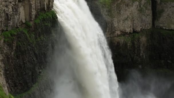 ワシントン州の美しい宮殿の滝で午後からソートされたクリップ — ストック動画