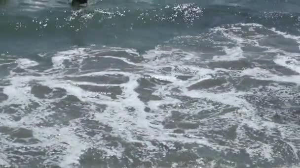 Chicos Nadando Playa Ensenada — Vídeos de Stock