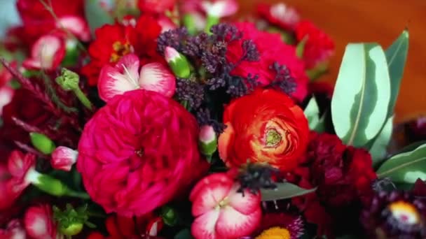 Gyönyörű Virágok Kertben — Stock videók
