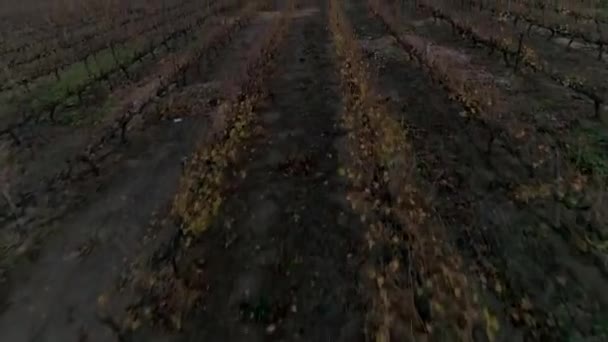 Flygfoto Över Slanghoek Dalen Breede Valley Västra Udden Sydafrika — Stockvideo