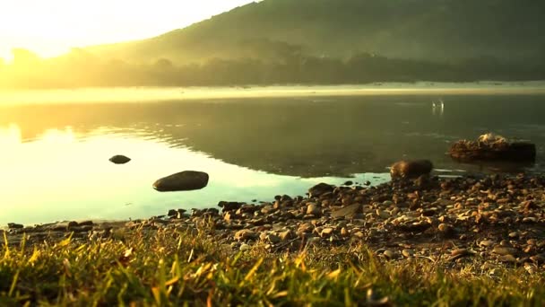 背景に太陽が沈む川に石を滑り込ませる — ストック動画
