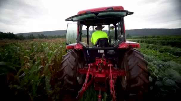 Landwirt Fährt Mit Traktor Durch Maisfeld — Stockvideo