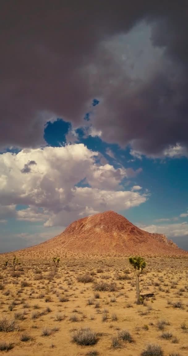 Βαριά Σύννεφα Καταιγίδα Επιπλέουν Πάνω Mojave Τοπίο Της Ερήμου Πριν — Αρχείο Βίντεο