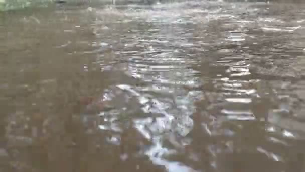 Σταγόνες Βροχής Πέφτουν Στο Έδαφος — Αρχείο Βίντεο
