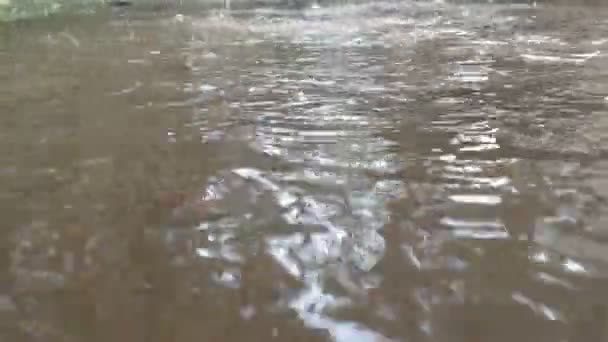 Gotas Lluvia Cayendo Suelo — Vídeos de Stock