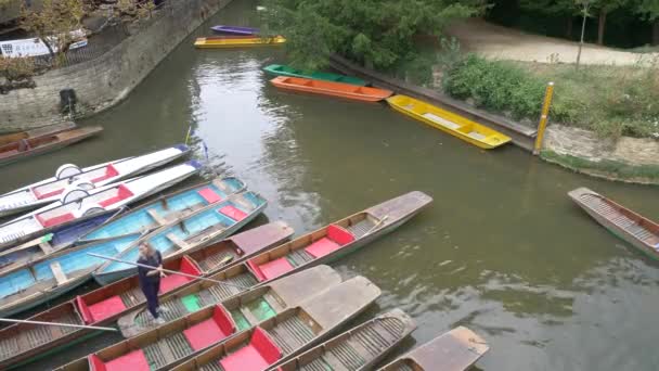 Stavění Lodí Řece Oxford — Stock video