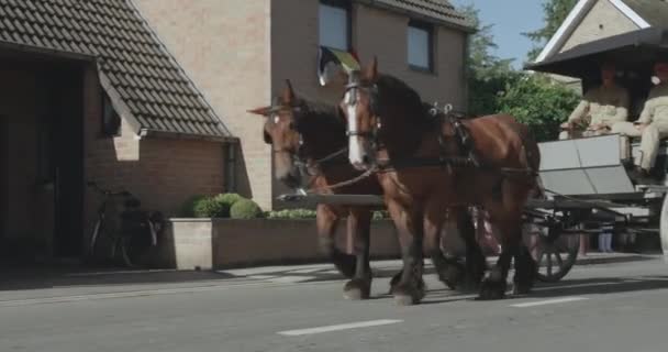 Krieg Krankenhaus Auto Mit Pferden Erster Weltkrieg — Stockvideo