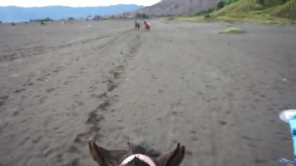 Viaggio Monte Bromo Vulcano Attivo Giava Est Indonesia — Video Stock