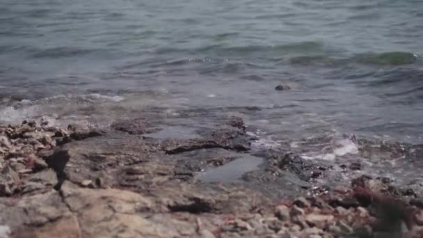 Ondas Mar Esmagando Pedras — Vídeo de Stock