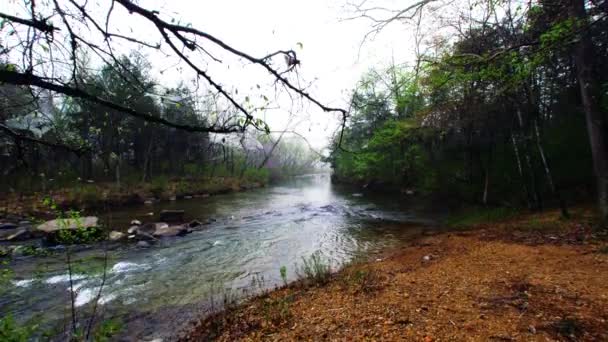 Widok Marble Creek Dół Rzeki — Wideo stockowe