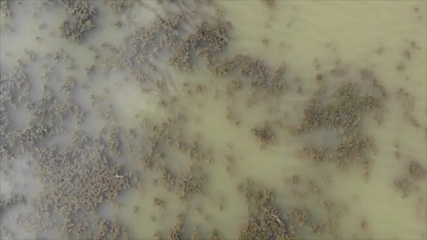 Вид Воздуха Озеро Деревьями Дорогу Huissen Gld — стоковое видео