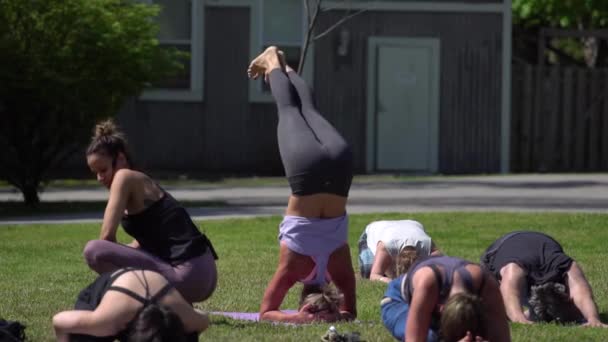 Yogafest Arizona Esneme Hareketleri Yapan Bir Kadın Grubu Arasında Amuda — Stok video