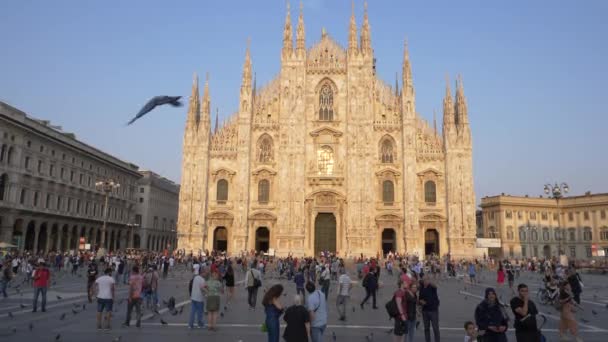 Pájaros Volando Gente Caminando Frente Duomo Milán Italia — Vídeo de stock