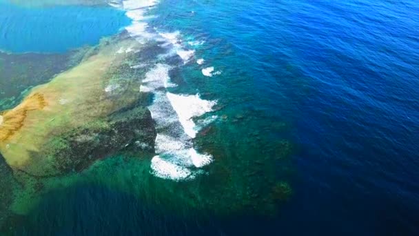 Imagens Drones Ondas Oceânicas Samoa Pacífico Sul — Vídeo de Stock