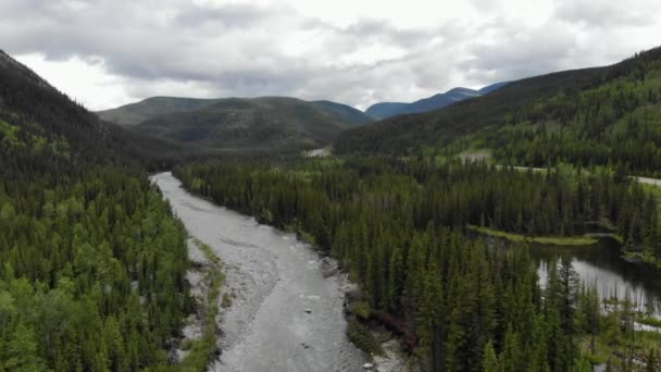 Εναέρια Drone Πλάνα Από Alberta Elbow Falls Ποταμού Όμορφο Ορεινό — Αρχείο Βίντεο
