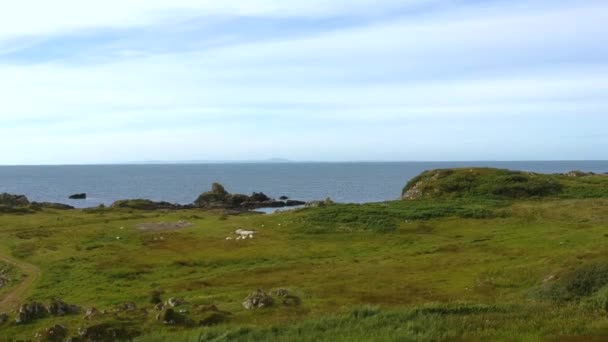 Luchtbeelden Vliegen Rotsachtige Kustlijn Van Het Eiland — Stockvideo