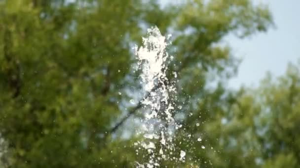 Beautiful View Water Slow Motion — Stock Video