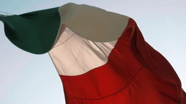 Mexican Flag Waving Cdmx Mexico Stad Showen — Stockvideo