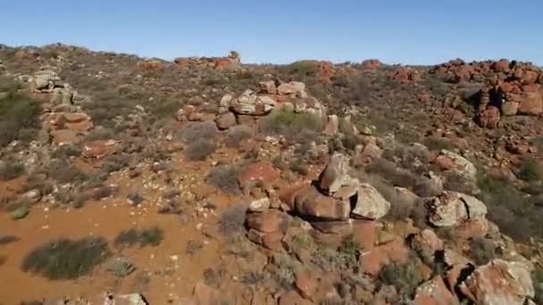 Flygfoto Över Staden Nieuwoudtville Norra Kapprovinsen Sydafrika Med Blommande Mars — Stockvideo