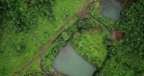 Plano Aéreo Las Tierras Agrícolas — Vídeo de stock