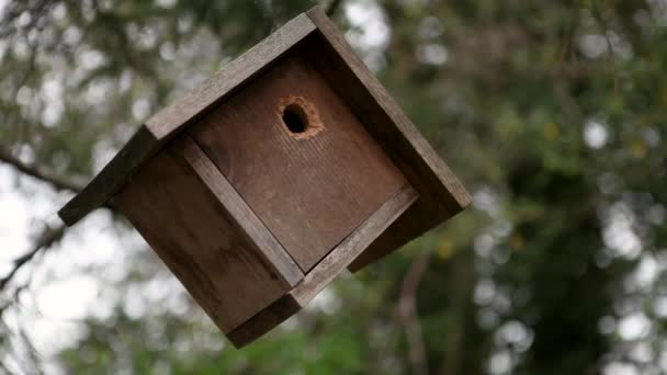 Een Handgemaakt Houten Vogelhuisje Hangt Aan Een Boom Wachtend Bezetting — Stockvideo