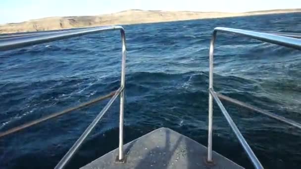 Balene Patagonia Guardando Avistaje Ballenas Patagonia Barco Nave Viaggi Costa — Video Stock