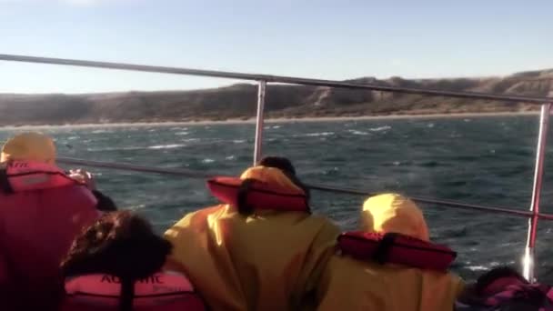 Wieloryby Patagonia Oglądanie Avistaje Ballenas Patagonia Barco Statek Podróże Wybrzeże — Wideo stockowe