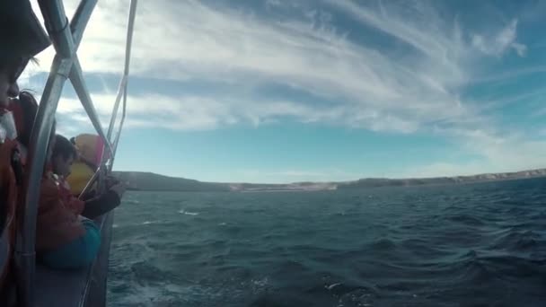Wale Patagonien Avistaje Ballenas Patagonien Barco Schiff Reisen Küste Patagonien — Stockvideo